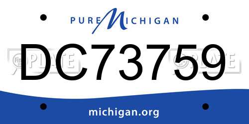DC73759 Michigan License Plate