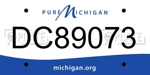 DC89073 Michigan License Plate
