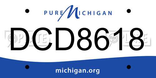 DCD8618 Michigan License Plate