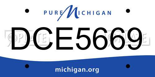 DCE5669 Michigan License Plate