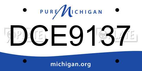 DCE9137 Michigan License Plate