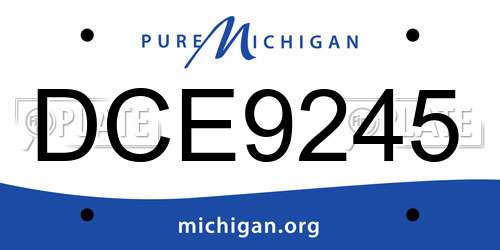 DCE9245 Michigan License Plate