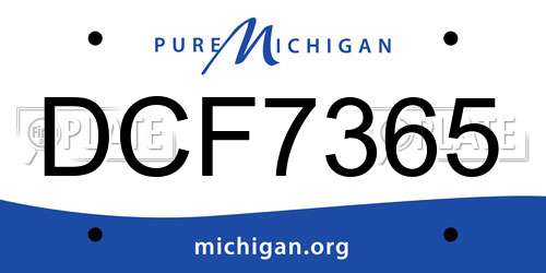 DCF7365 Michigan License Plate