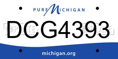 DCG4393 Michigan License Plate
