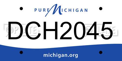 DCH2045 Michigan License Plate