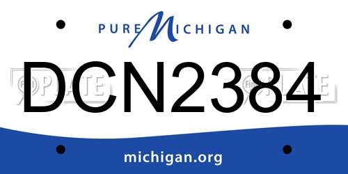 DCN2384 Michigan License Plate
