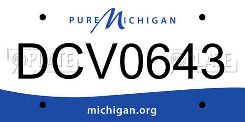 DCV0643 Michigan License Plate