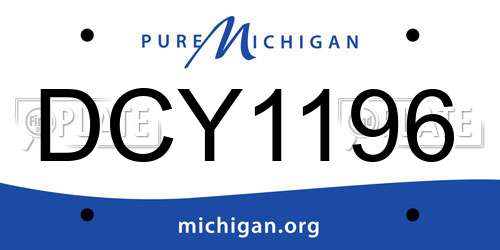 DCY1196 Michigan License Plate