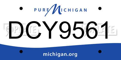 DCY9561 Michigan License Plate