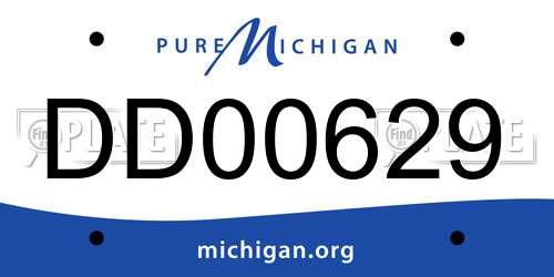 DD00629 Michigan License Plate