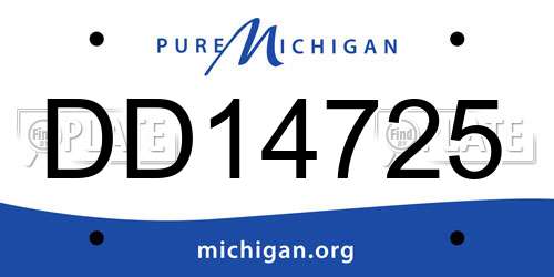 DD14725 Michigan License Plate