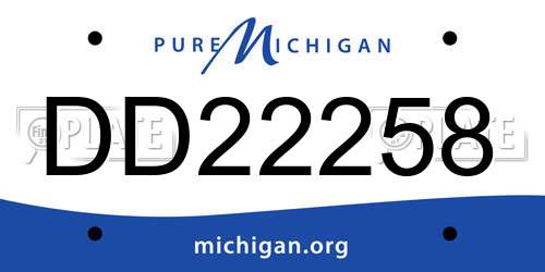 DD22258 Michigan License Plate