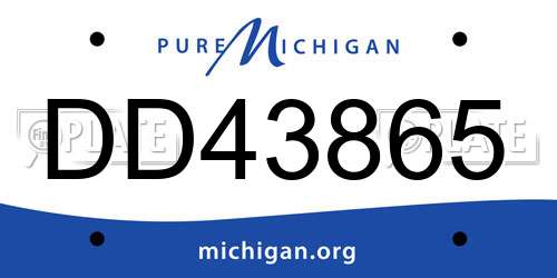 DD43865 Michigan License Plate