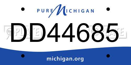 DD44685 Michigan License Plate