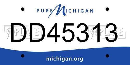 DD45313 Michigan License Plate