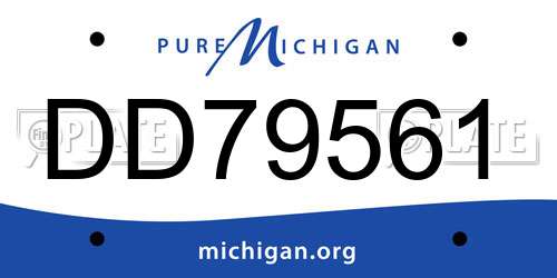 DD79561 Michigan License Plate