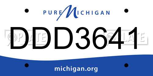 DDD3641 Michigan License Plate