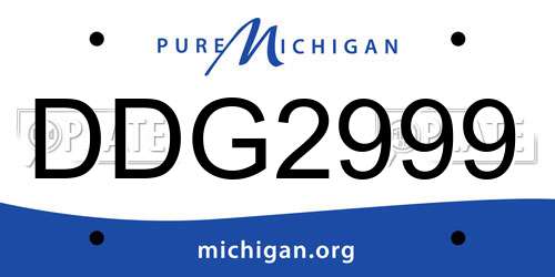 DDG2999 Michigan License Plate