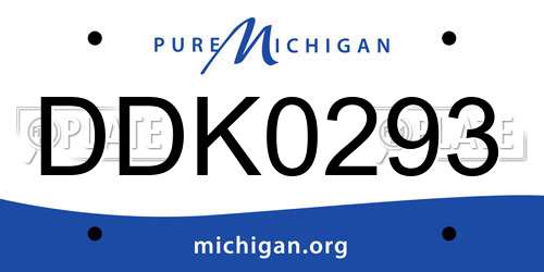 DDK0293 Michigan License Plate