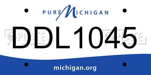 DDL1045 Michigan License Plate