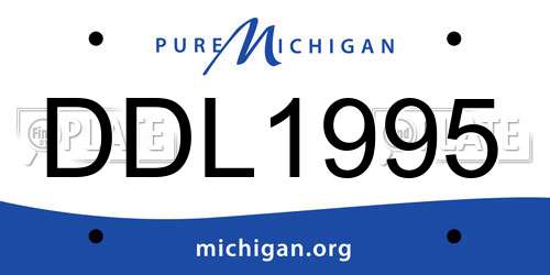 DDL1995 Michigan License Plate