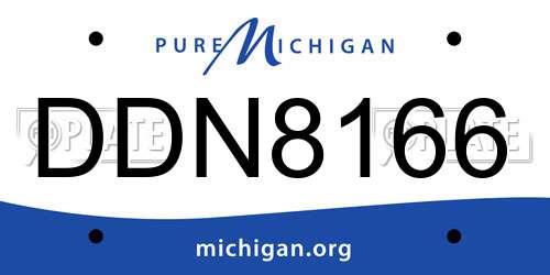 DDN8166 Michigan License Plate