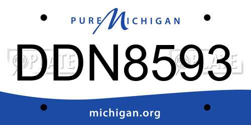 DDN8593 Michigan License Plate