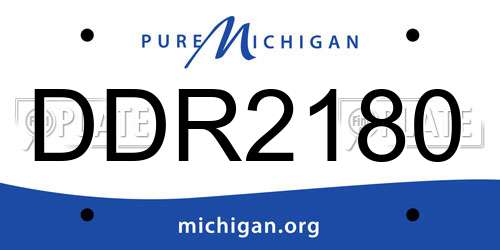 DDR2180 Michigan License Plate