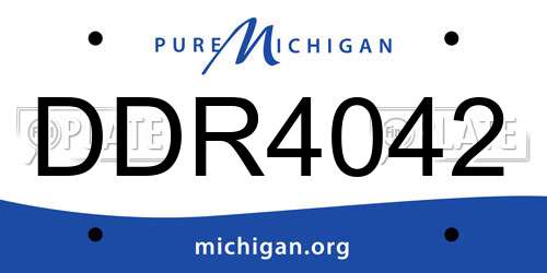 DDR4042 Michigan License Plate