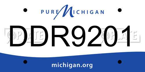 DDR9201 Michigan License Plate