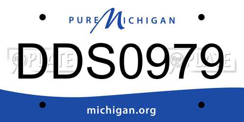 DDS0979 Michigan License Plate