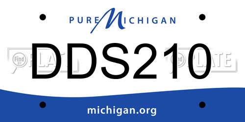 DDS210 Michigan License Plate