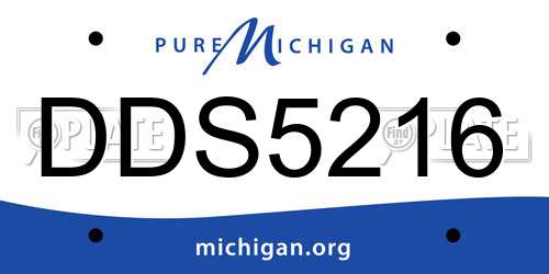 DDS5216 Michigan License Plate