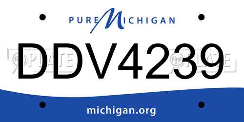 DDV4239 Michigan License Plate