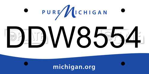 DDW8554 Michigan License Plate