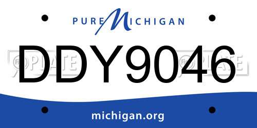 DDY9046 Michigan License Plate
