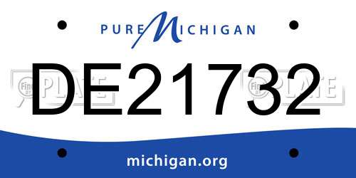 DE21732 Michigan License Plate