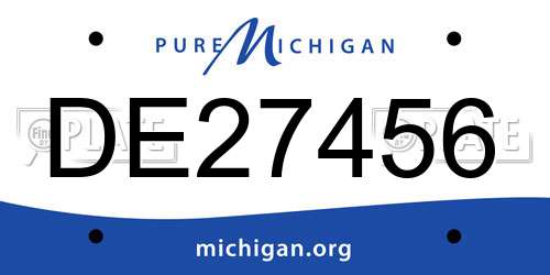 DE27456 Michigan License Plate