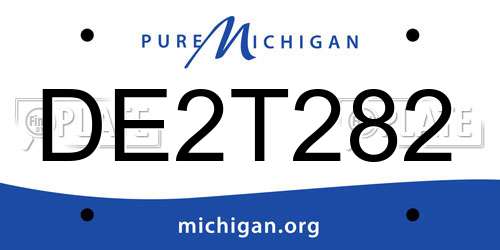 DE2T282 Michigan License Plate