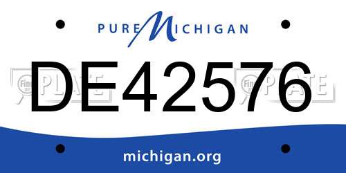DE42576 Michigan License Plate