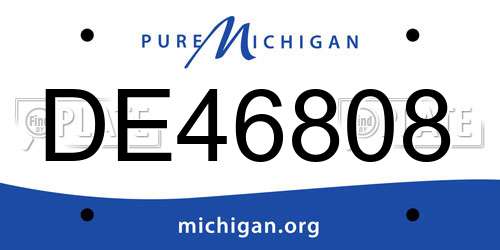 DE46808 Michigan License Plate