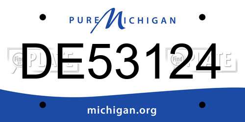 DE53124 Michigan License Plate
