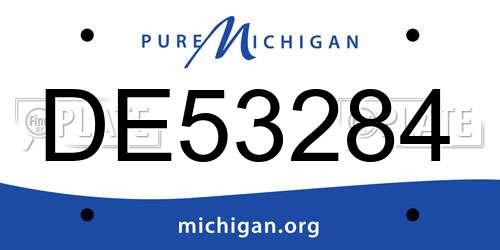 DE53284 Michigan License Plate
