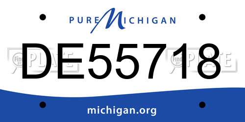 DE55718 Michigan License Plate