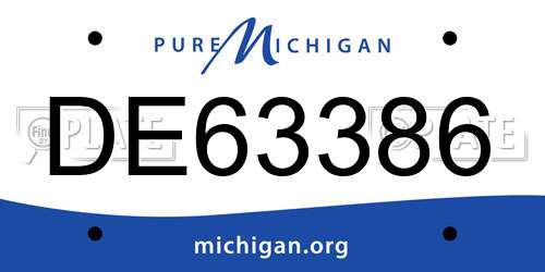 DE63386 Michigan License Plate