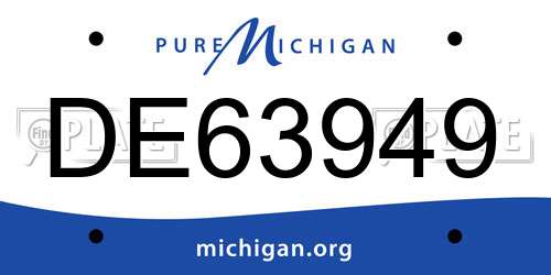 DE63949 Michigan License Plate