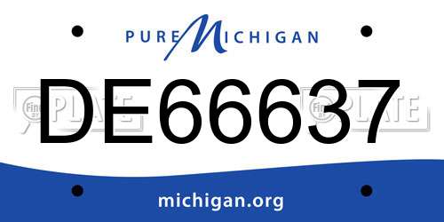 DE66637 Michigan License Plate