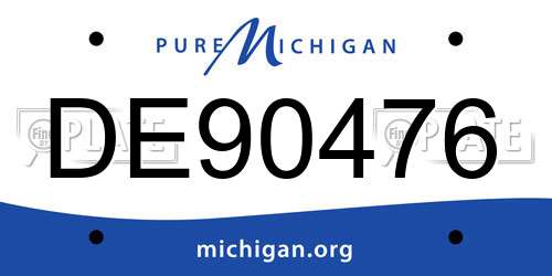 DE90476 Michigan License Plate