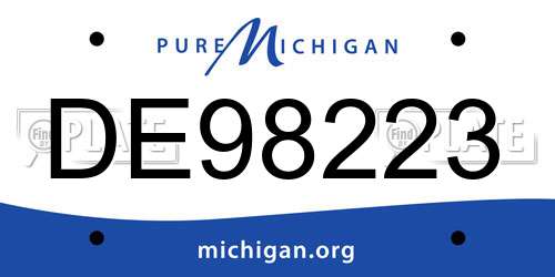 DE98223 Michigan License Plate