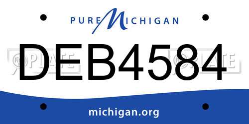 DEB4584 Michigan License Plate